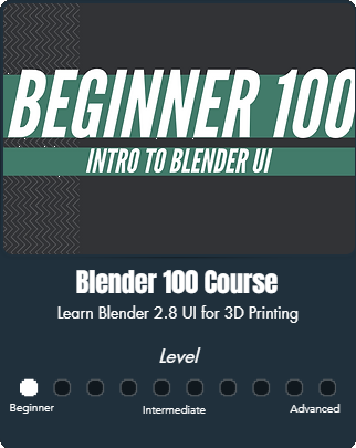 Beginner 100
